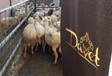 PROJECT QURBANI/UDHIYAH 2020